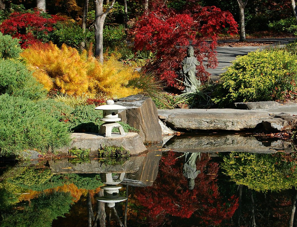 Serenity and ⁤Tranquility: The Essence of ​Japanese Garden Plants