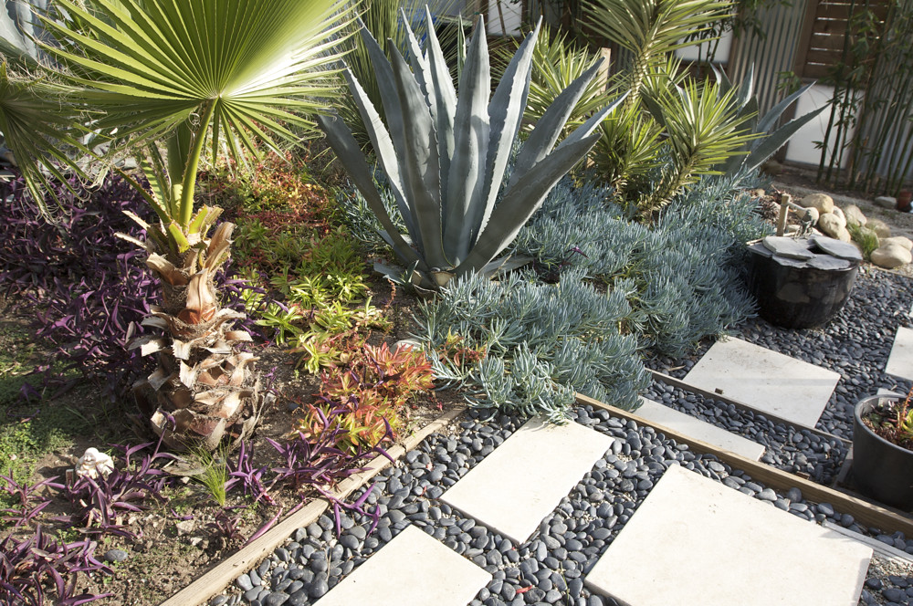 2. Top Drought-Tolerant Plant Picks: Flourish with Minimal ⁢Watering and Environmental Impact