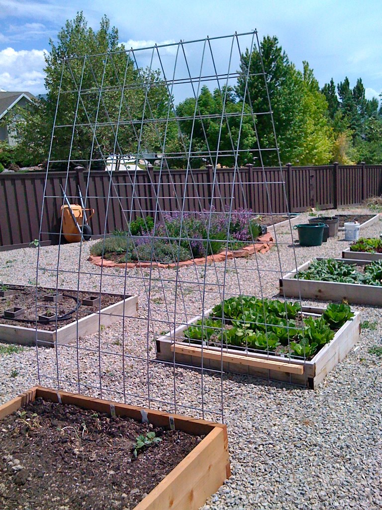 The Role of Garden Trellises: Support and Beauty.