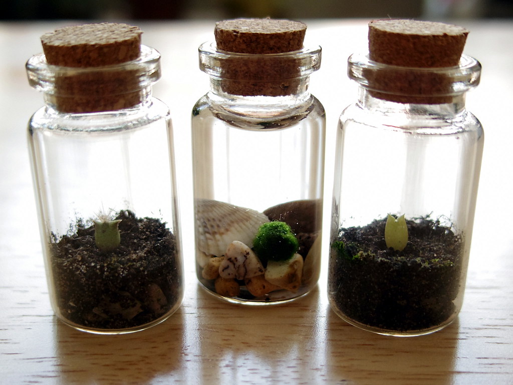2. A Step-by-Step ‌Guide‌ to Crafting Stunning Terrariums: From Selecting the Perfect Container ⁤to ⁢Nurturing Lush Greenery