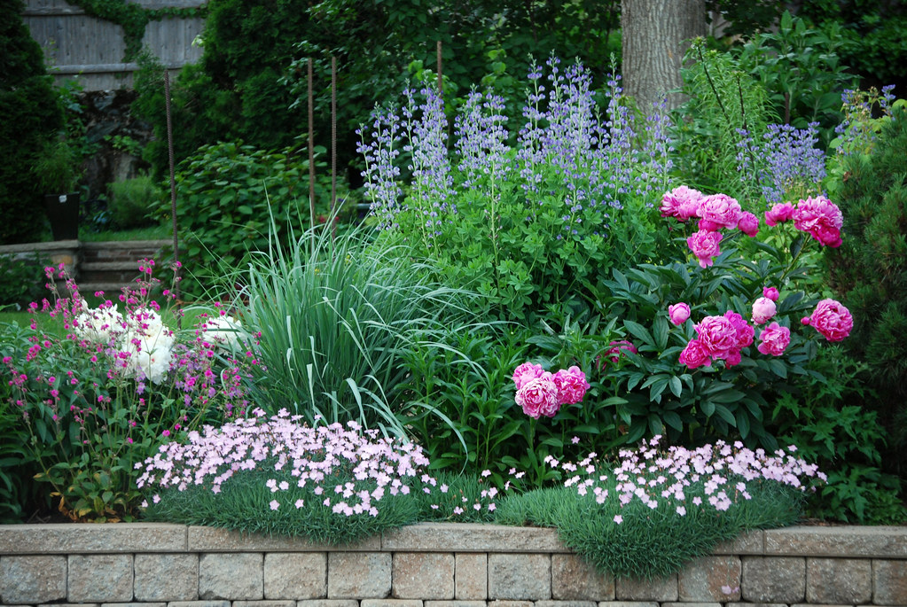 The⁤ Beauty of ‍Perennial Gardens: ⁤Plant Choices.