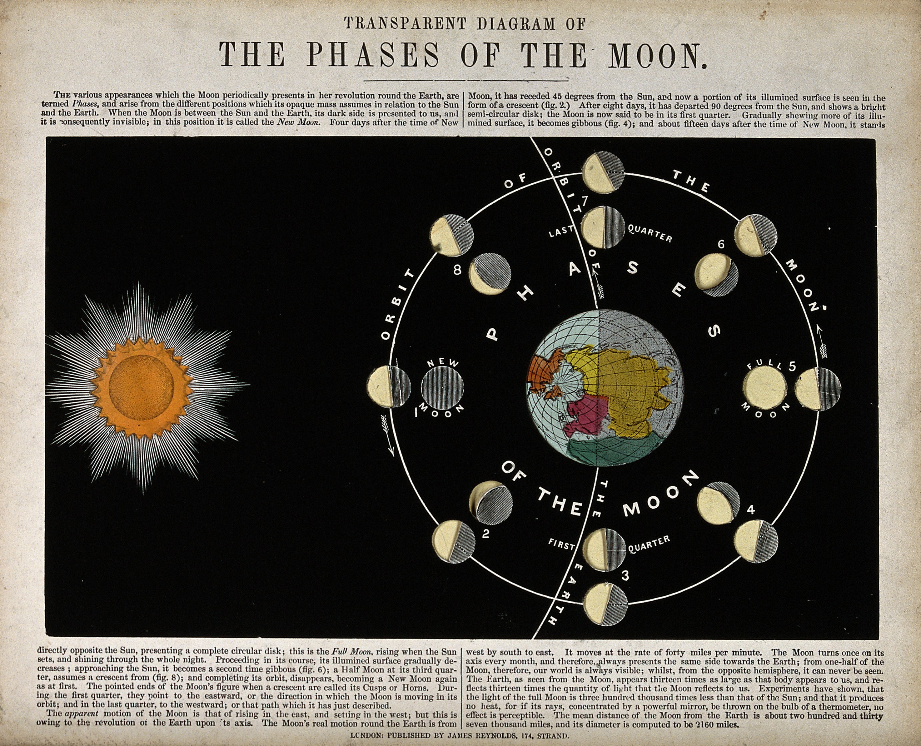 1. ‍The Cosmic Gateway: A Beginner's Guide to ⁢Embarking ‌on⁢ Your Astronomy Journey