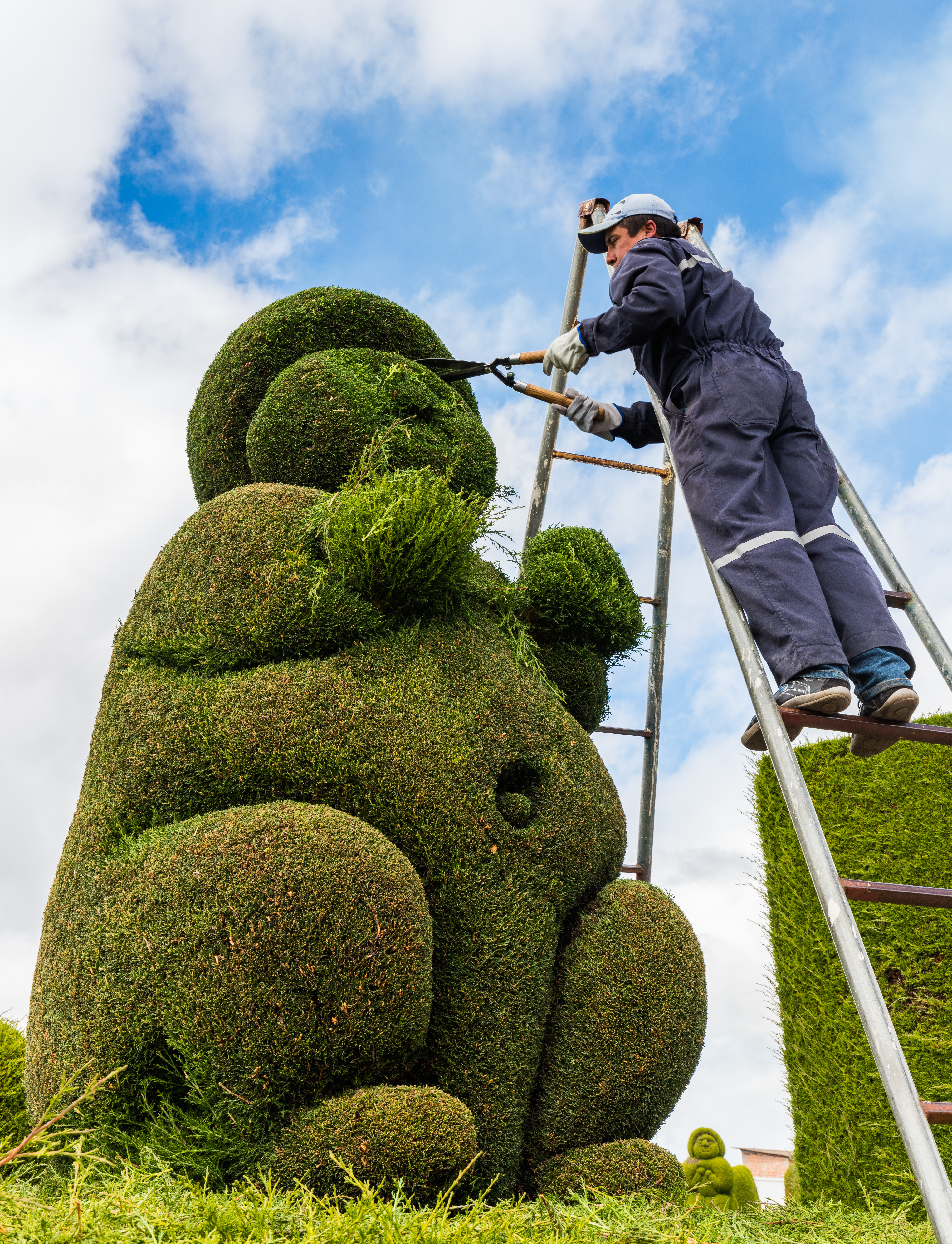 The Art of ‌Topiary in Home Gardens.