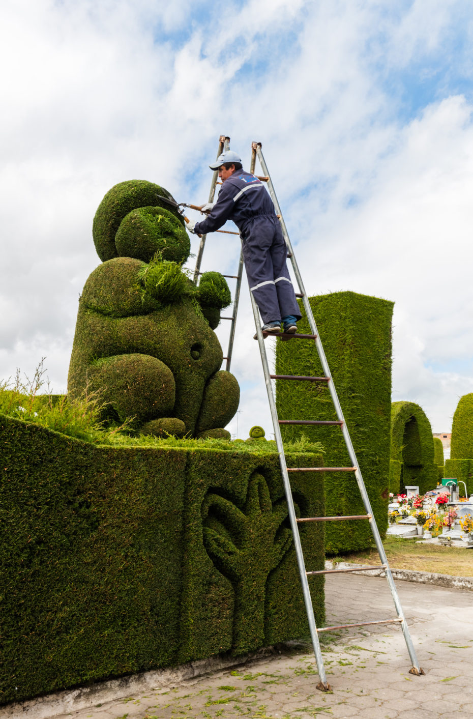 2. Nurturing Topiary Masterpieces: Essential Techniques and Maintenance Tips ⁣for ‍Stunning ⁣Home ⁤Gardens
