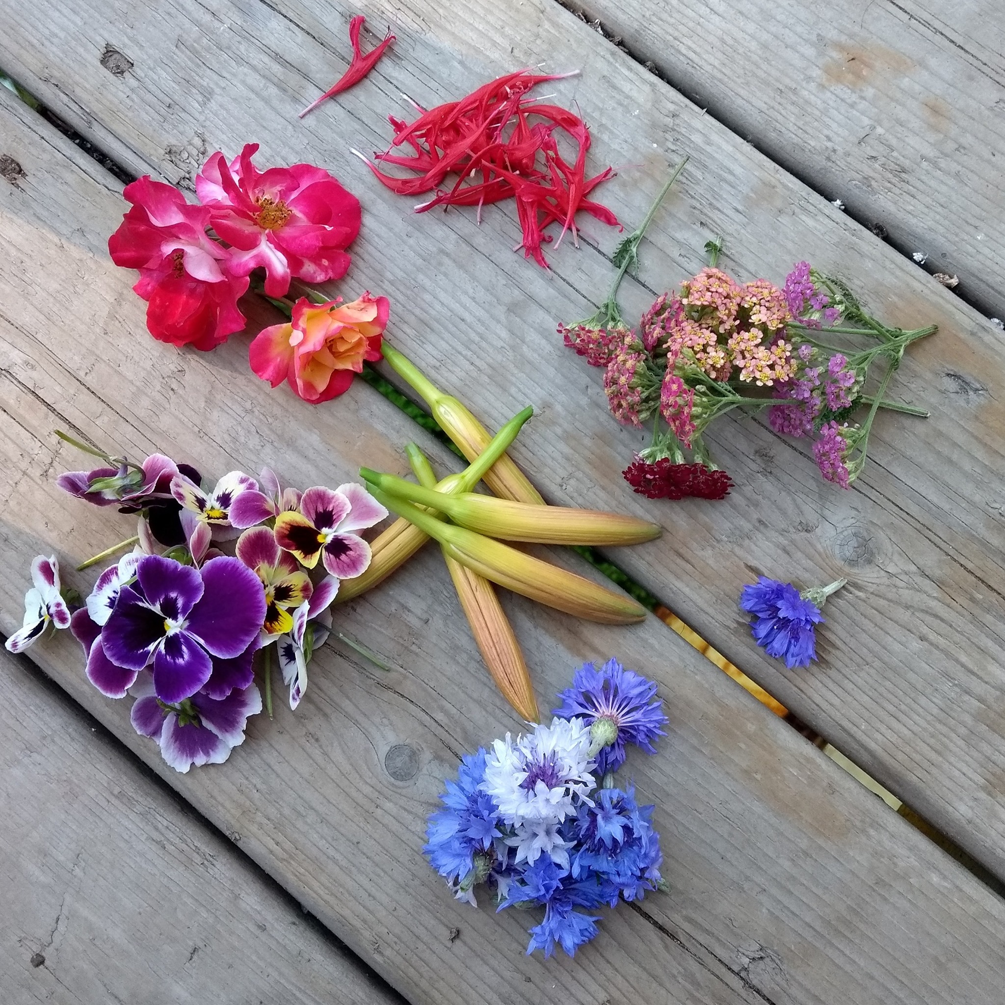 Exploring ‌the Wide Range of ‌Edible Flowers: From ⁣Flavors to ​Visual Appeal