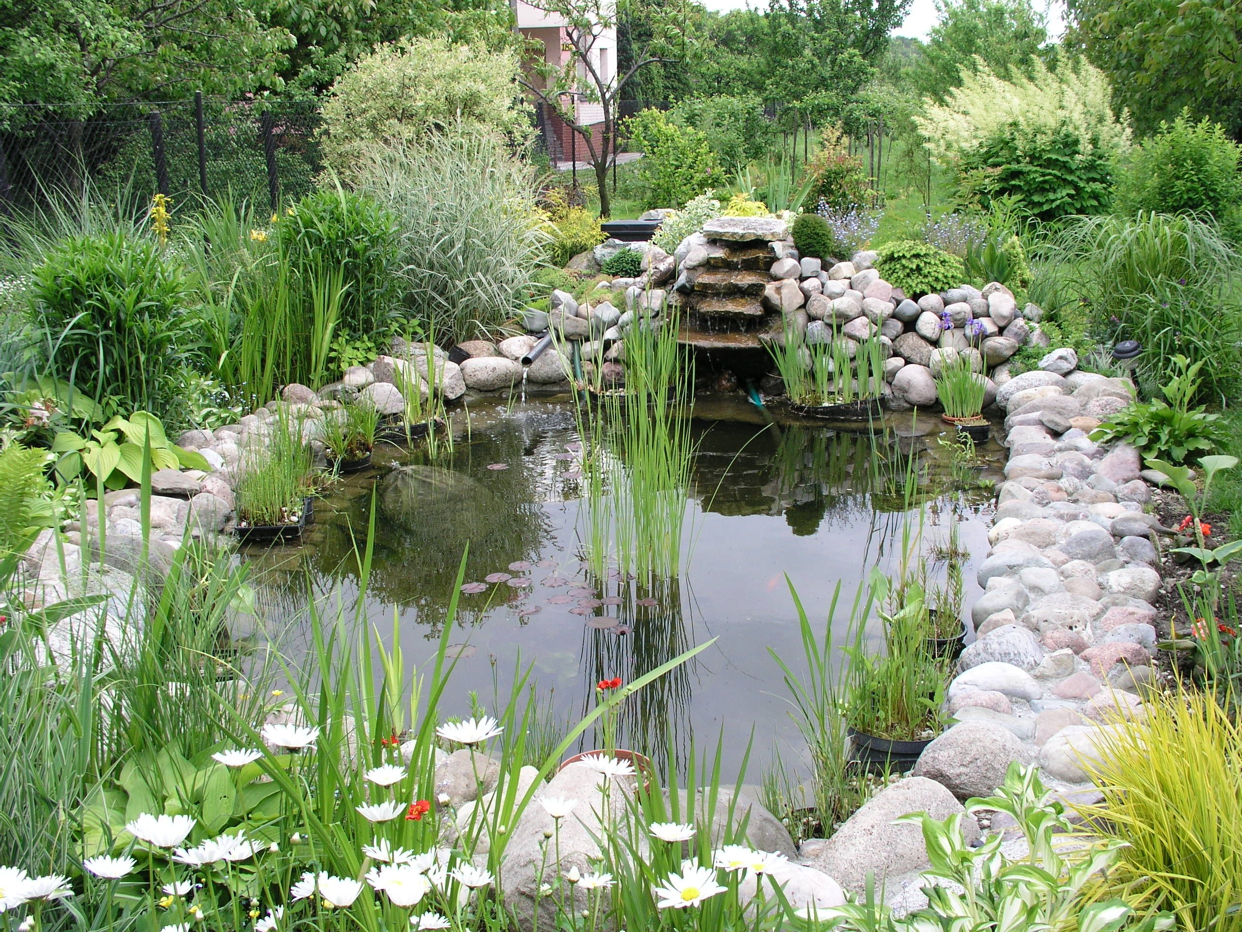 1.⁢ Ensuring Safe Water ⁢Quality: Essential Guidelines for Maintaining Garden ⁤Ponds and Pools