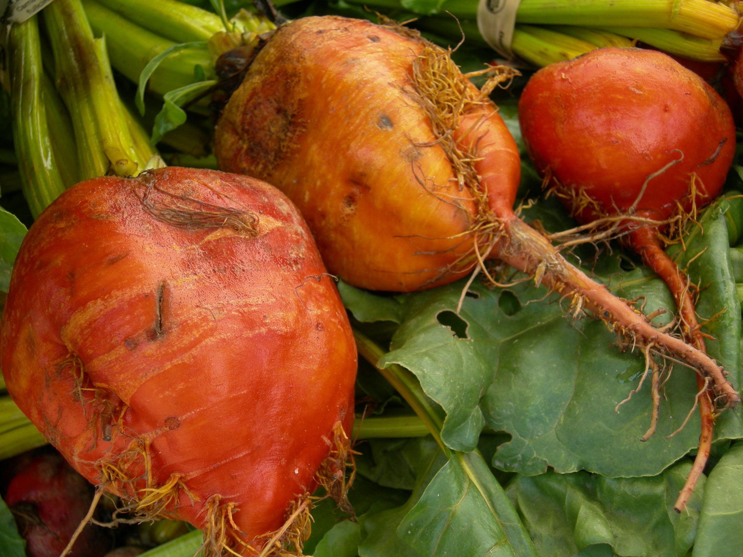 Preserving the Freshness: Unlocking the Secrets⁣ of Proper Vegetable Storage
