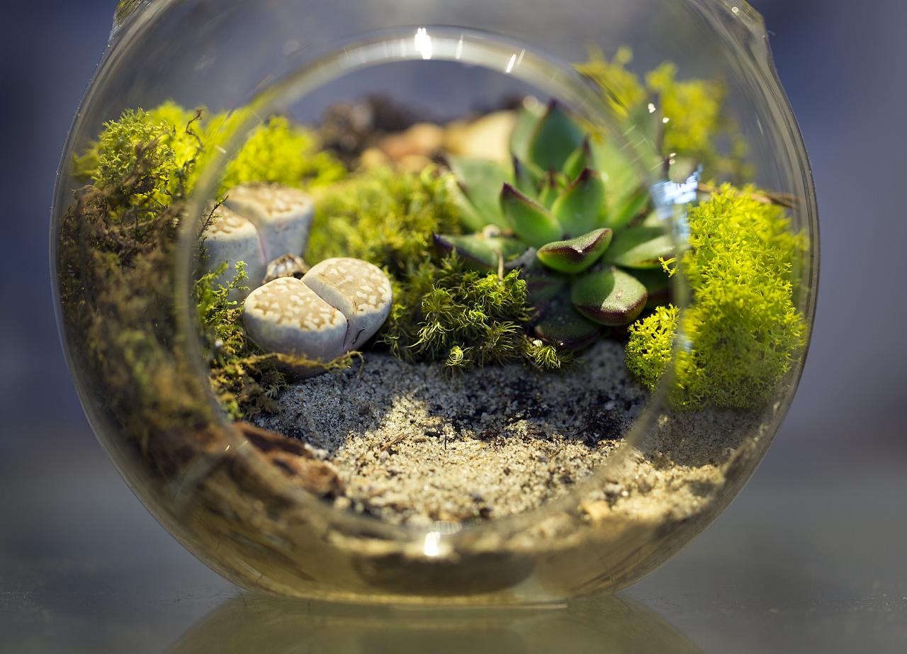 1. Captivating Miniature Worlds: Unleash Your Inner⁣ Artist with ⁤Terrarium Magic