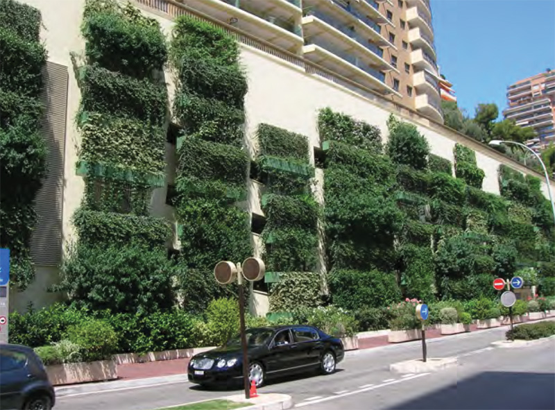 Exploring Innovative Techniques for Constructing Home Vertical Gardens