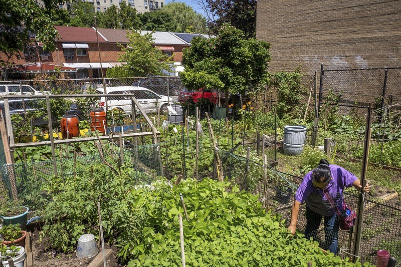 2. Maximizing Limited ​Space: ‌Practical Tips‌ for Urban Gardeners ⁣to Thrive amidst City⁢ Constraints