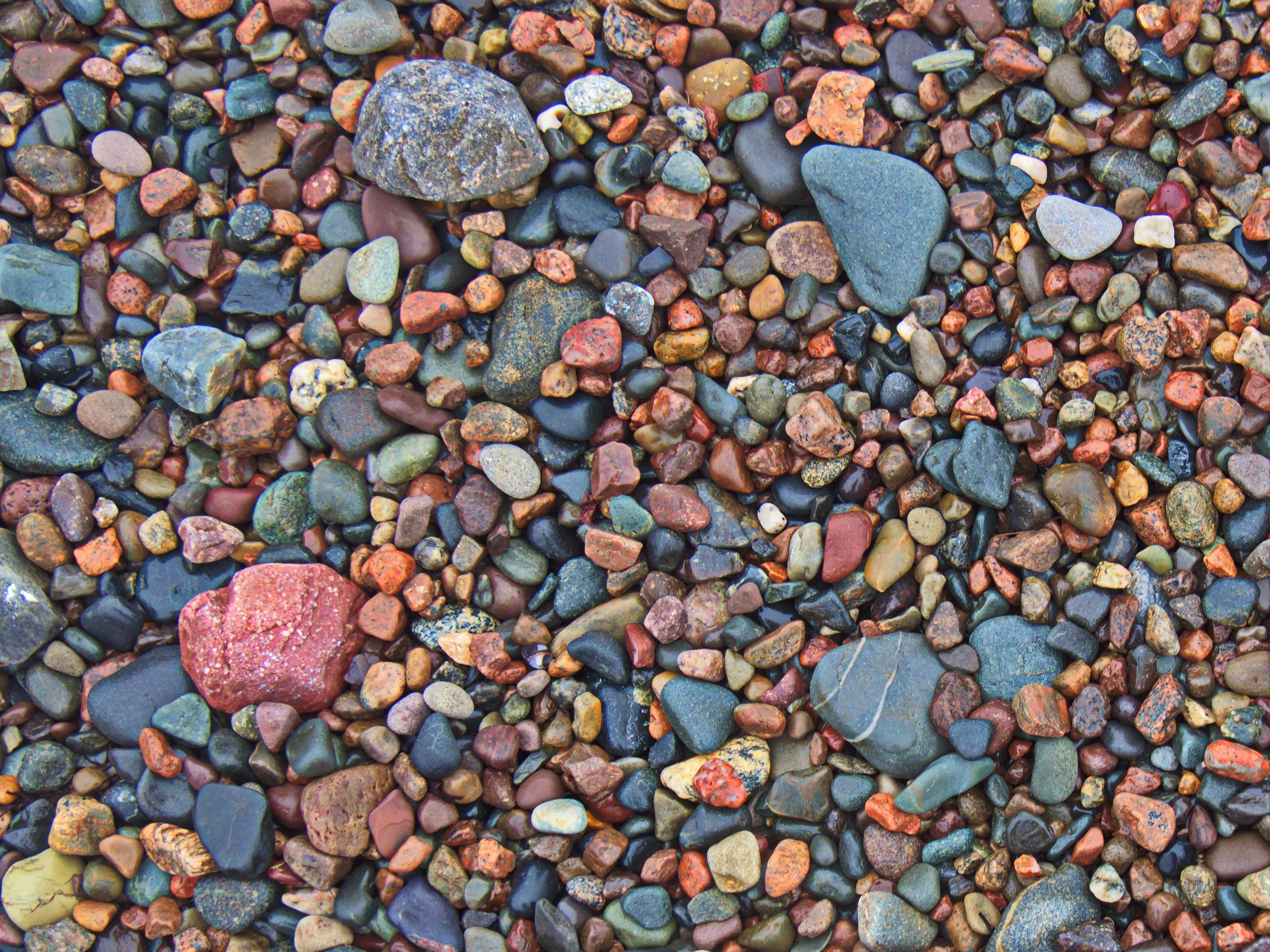 Choosing‌ the Right Rocks and Plants: Essential Considerations for a Flourishing Rock Garden